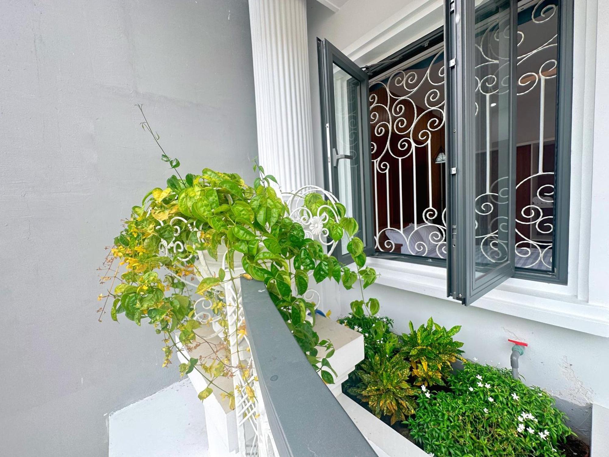 Milan Homestay - Milanesa Hotel And Apartment Vung Tau Exteriör bild